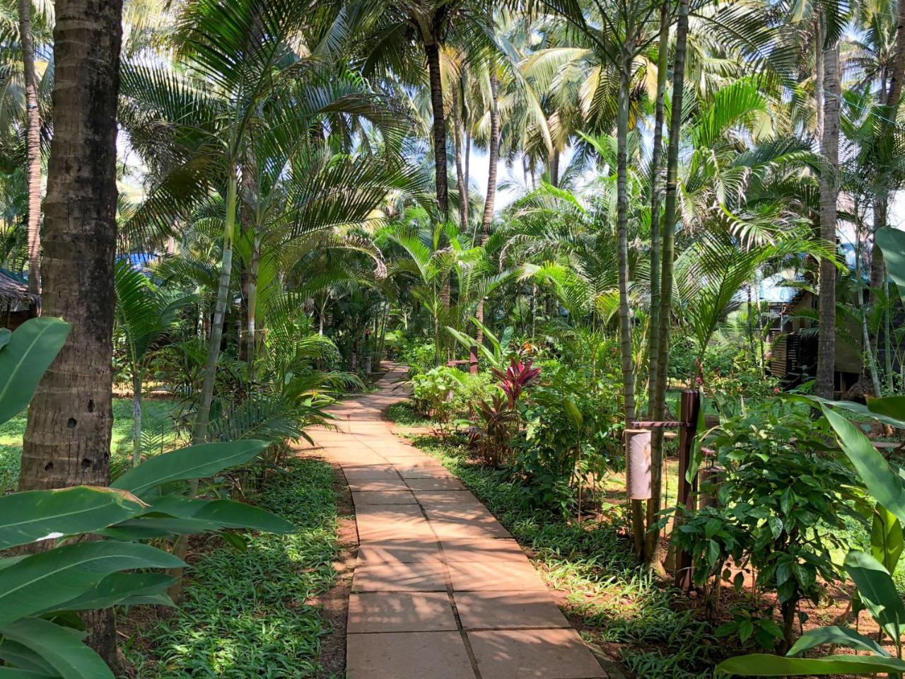 Leela Cottages Morjim Buitenkant foto