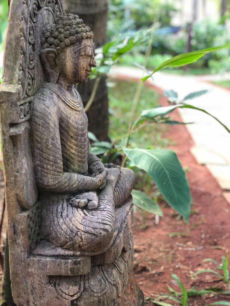 Leela Cottages Morjim Buitenkant foto